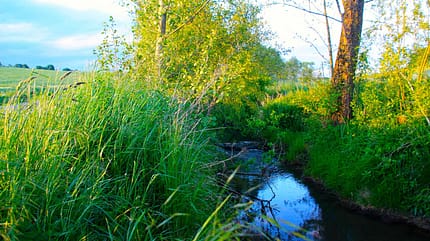 Naturidylle bei der Aalenbach-Lauf-Trophy