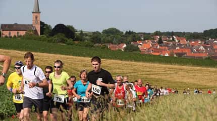 Der Wartturmlauf führt über Felder und Wiesen. Der Wartturmlauf führt über Felder und Wiesen.