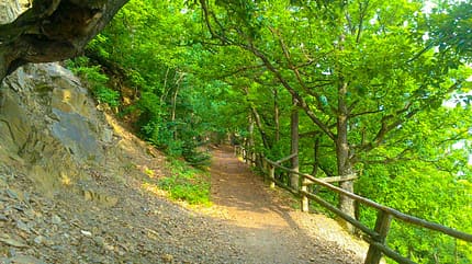 Anspruchsvolle Single Trails bei der Run & Boat Urwaldchallenge