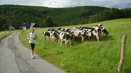 Erzgebirgstraverse Erzgebirgstraverse