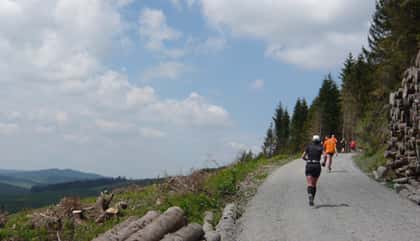 Rothaarsteiglauf