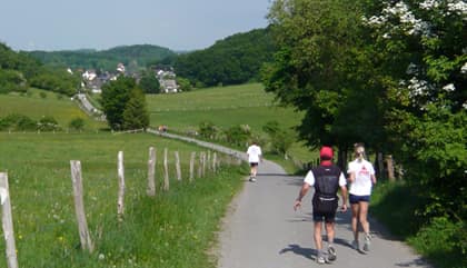 Rothaarsteiglauf