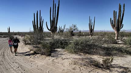 Sandiges Vergnügen: Die Baja de Carrera