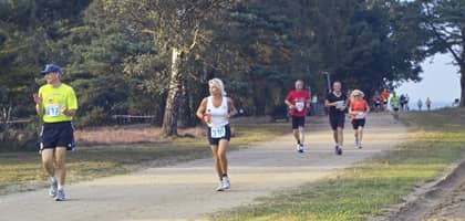 Volkslauf zum Heideblütenfest Volkslauf zum Heideblütenfest