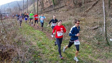 Neckar Center Off Road Run 2013