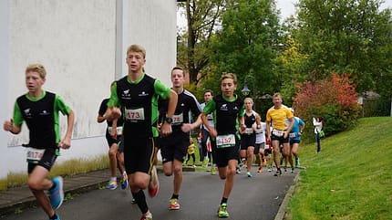 Lupfenlauf Talheim 2015