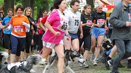 Ginsenglauf Walsrode 460-2