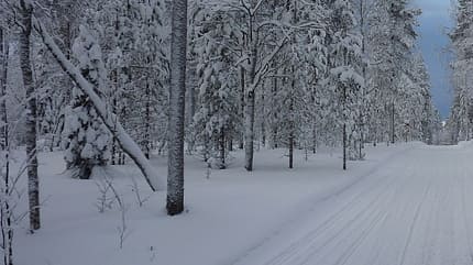 Rovaniemi 1