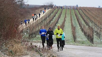 Freinsheimer Volkslauf 1 Freinsheimer Volkslauf 1
