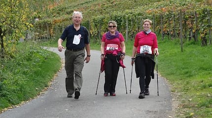 Rotwein-Walking-Ahr: Walker auf der 10 km Strecke