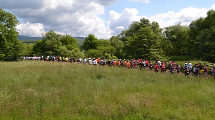 Das Starterfeld beim Harzer Keiler Run