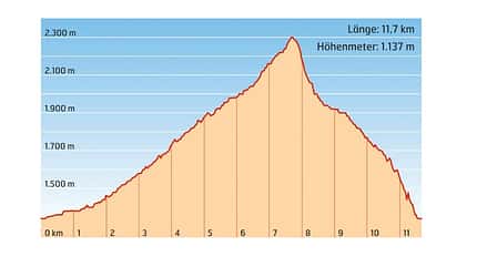 Steinbocktrophy St. Leonhard 1