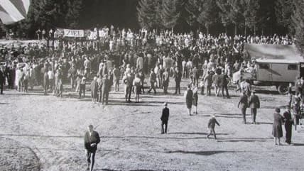 Volkslauf Bobingen: Vor dem Ziel staute es sich gewaltig