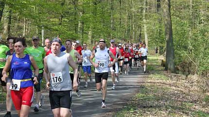 Skiwiesen-Lauf 2014