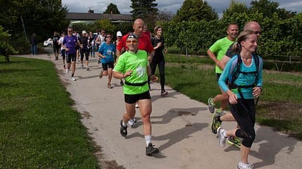 Musketiere-Lauf: Lauf durch die Weinberge in Bodenheim Musketiere-Lauf: Lauf durch die Weinberge in Bodenheim