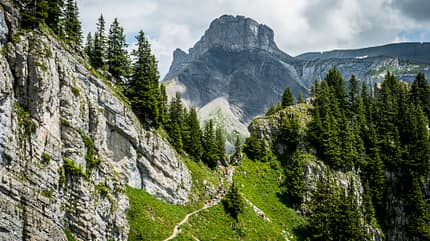 Beim Eiger Ultra Trail ist Ihre Ausdauer auf allen Strecken gefordert. Doch mit dem fantastischen Panorama mit Blick auf den Eiger genießen Sie das. Beim Eiger Ultra Trail ist Ihre Ausdauer auf allen Strecken gefordert. Doch mit dem fantastischen Panorama mit Blick auf den Eiger genießen Sie das.