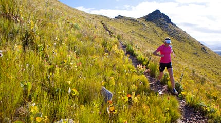 Eine Läuferin läuft auf einem Trail bergab. Eine Läuferin läuft auf einem Trail bergab.