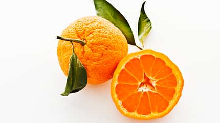 LC Ernährung Läuferküche Zitrusfrüchte Satsumas Satsuma-Mandarinen mit Blättern