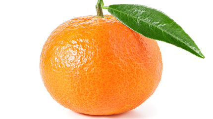 LC Ernährung Läuferküche 10-2018 Zitrusfrüchte Mandarinen Mandarine