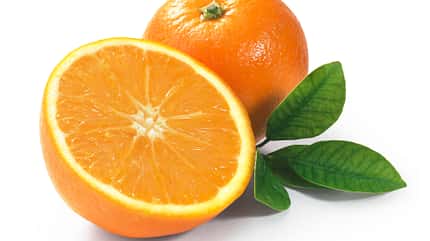 LC Ernährung Läuferküche 10-2018 Zitrusfrüchte Orangen Apfelsinen Apfelsinen