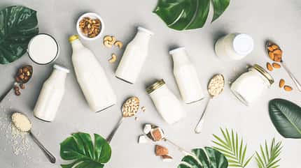 Dairy free milk substitute drinks and ingredients
