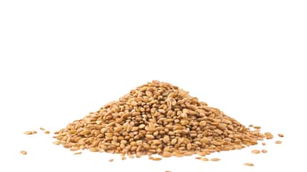 Spelt,Close To,Candid,Healthy Eating,Group of Objects,Textured,Dieting,Whole Wheat,Meal,Vegetarian Food,Remote,Nutrition Label,Raw Food,Organic,Dry,Eating,Cooking,Ingredient,Biology,Healthy Lifestyle,Backgrounds,White,Brown,Colors,Pattern,Stack,Heap,Agriculture,Food And Drink,Healthcare And Medicine,Nature,Macro,Close-up,Seed,Wheat,Barley,Cereal Plant,Plant,Food,emmer,Hulled,spelled,super-food,Dietary Fiber,Isolated,Wholegrain,Whole Spelt heap isolated on white