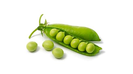 legume,pod Peas isolated on white background.