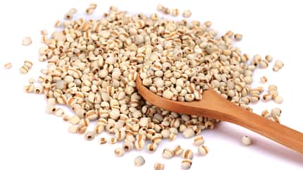 Jobs tears grain seed with wooden spoon on white background Jobs tears grain seed with wooden spoon on white background