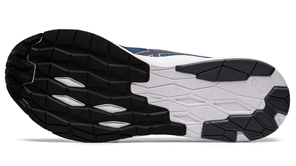 Asics EvoRide Asics EvoRide