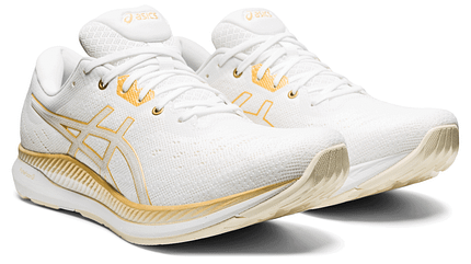 Asics EvoRide Asics EvoRide