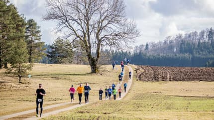 Alb-Gold Winterlauf-Cup 2020, Lauf 4, Finale am 07. 03. 2020