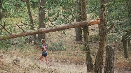 Laufen Heide Henning Christiane Lenertz