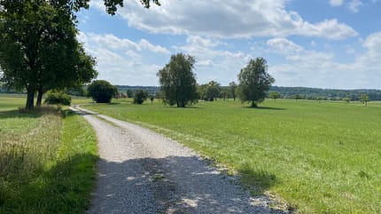 Die markierte Strecke führt durch welliges, offenes Gelände ... Die markierte Strecke führt durch welliges, offenes Gelände ...