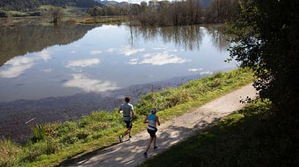 Kärnten Marathon 2020