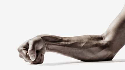 Arm Arm