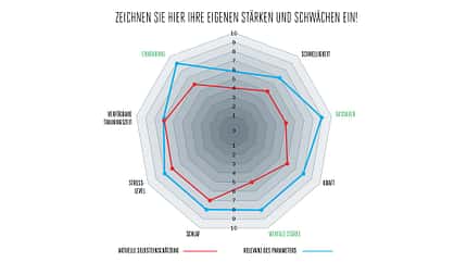 Stärken und Schwächen im Diagramm zum Laufleistungsprofil