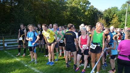 Ville-Lauf im Naturpark Rheinland