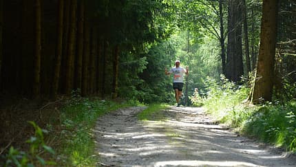Lindetwald-Trail Suben