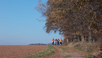 Lipperland-Marathon Dörentrup