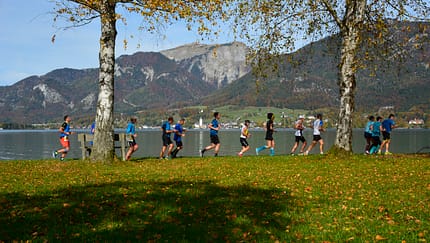 Die schönsten Halbmarathons in Österreich