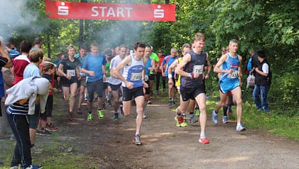 Harzgeröder Klippenlauf