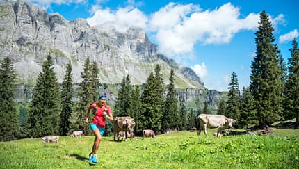 Weil wir die Natur lieben – Umfrage zu Nachhaltigkeit und Laufen