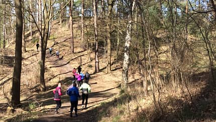 Vorbereitungslauf Marathon Hamburg in der Fischbeker Heide
