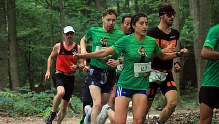 Seidenraupen-Cross Krefeld