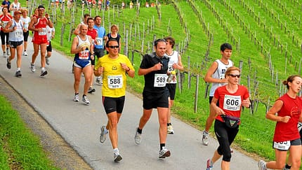 Welschlauf Südsteiermark Ehrenhausen