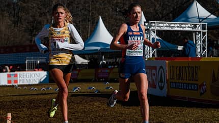 Silber und Bronze für Klosterhalfen und Reh