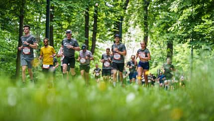 Wings for Life World Run 2023