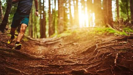 Run for the Planet Regensberg