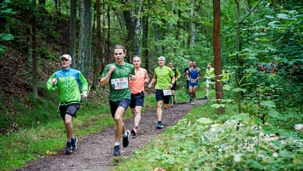 Quer durch die Dresdner Heide