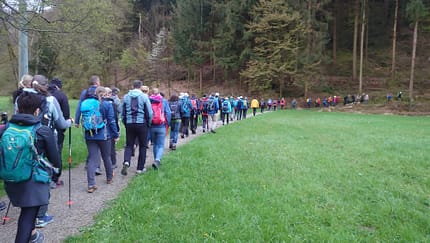 Reichenbacher Wandermarathon und Trail-Running